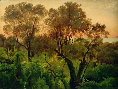 Slope with Olive Trees by Louis Gurlitt